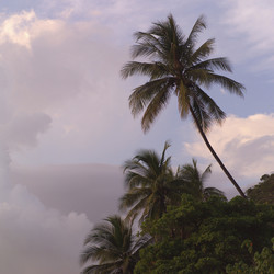 Similar image 8013114