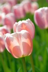 Similar image 8013116