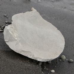 Similar image 8013119