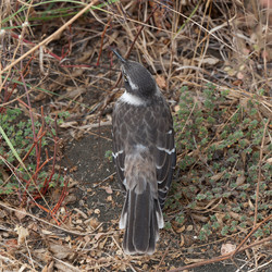 Similar image 8013126