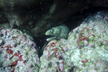 Similar image 8013127