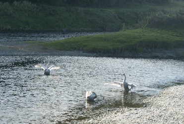 Similar image 8013131