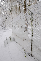 Similar image 8013143