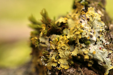 Similar image 8013148