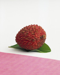 Similar image 8013165