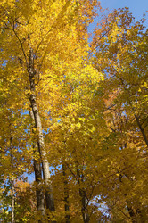 Similar image 8013184