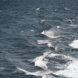 Similar image 8013185