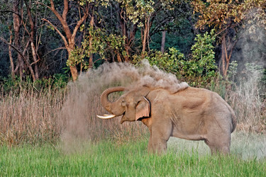 Similar image 8013190