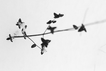 Similar image 8013191