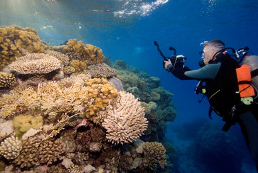 Similar image 8013193