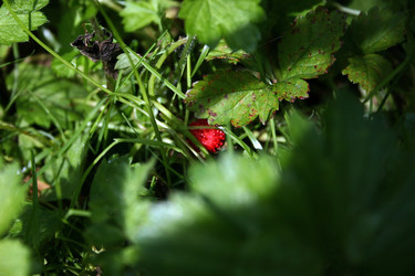 Similar image 8013198