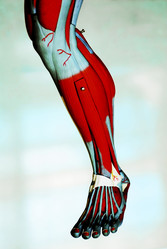 Similar image 8013201