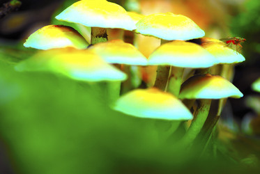 Similar image 8013206