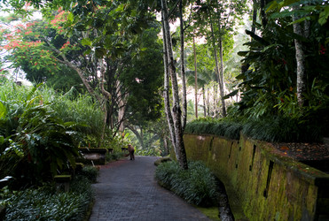 Similar image 8013212