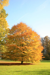 Similar image 8013215