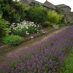 Similar image 8013217