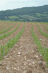 Similar image 8013222