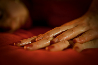 Similar image 8013228