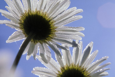 Similar image 8013231