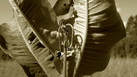 Similar image 8013233