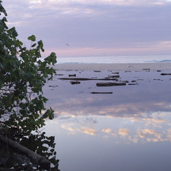 Similar image 8013242