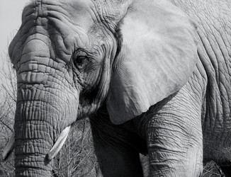 Similar image 8013244