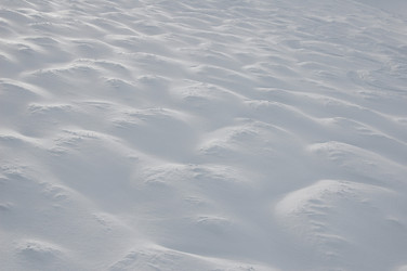 Similar image 8013254