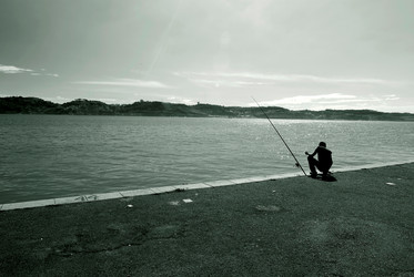 Similar image 8013262