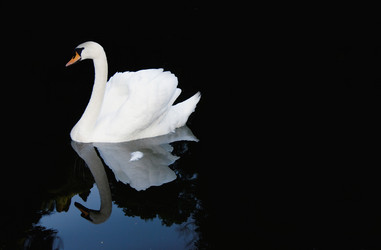 Similar image 8013265