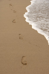 Similar image 8013267