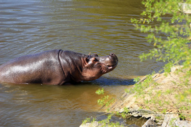 Similar image 8013269