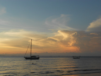 Similar image 8013283