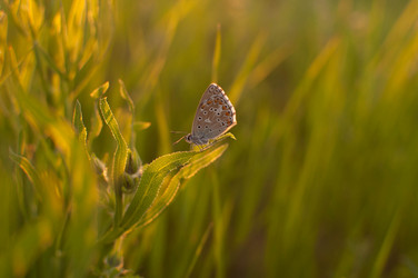 Similar image 8013287