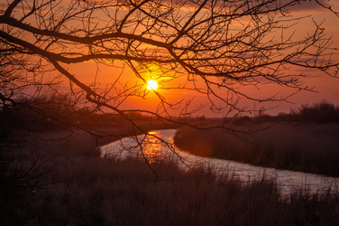 Similar image 8013288