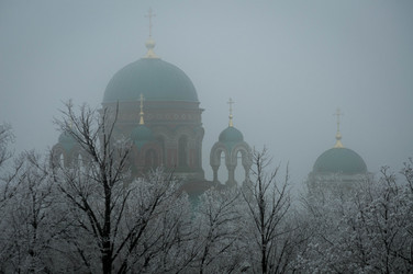 Similar image 8013289