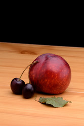 Similar image 8013295