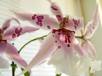 Similar image 8013341