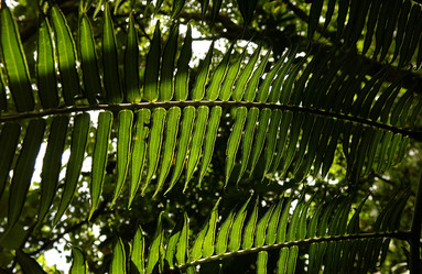 Similar image 8013342