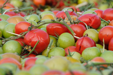 Similar image 8013344