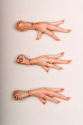 Similar image 8013346