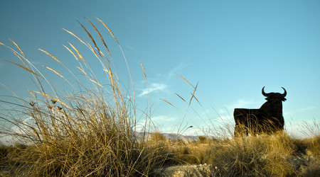 Similar image 8013353