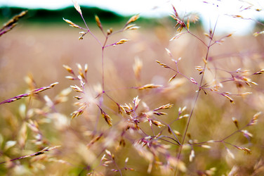 Similar image 8013363