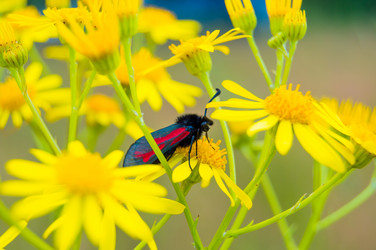 Similar image 8013364