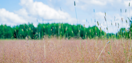 Similar image 8013365