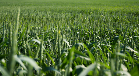 Similar image 8013366