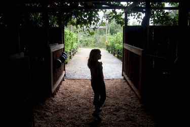 Similar image 8013369