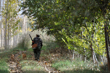 Similar image 8013381