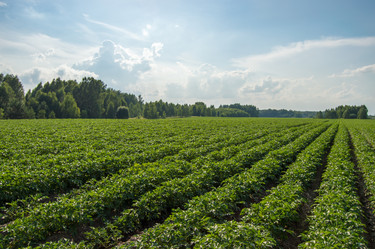 Similar image 8013385