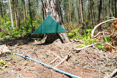 Similar image 8013388