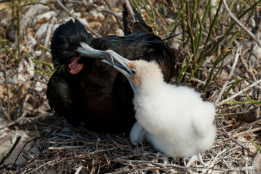 Similar image 8013389